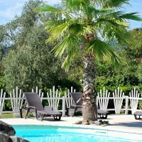 internazionale-lago-di-bracciano-glamping-trevignano-romano-lojmf