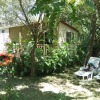 Internazionale Lago di Bracciano (Glamping)