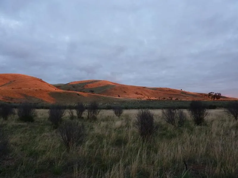 saunders-gorge-santuary-campground-sanderston-rmgml