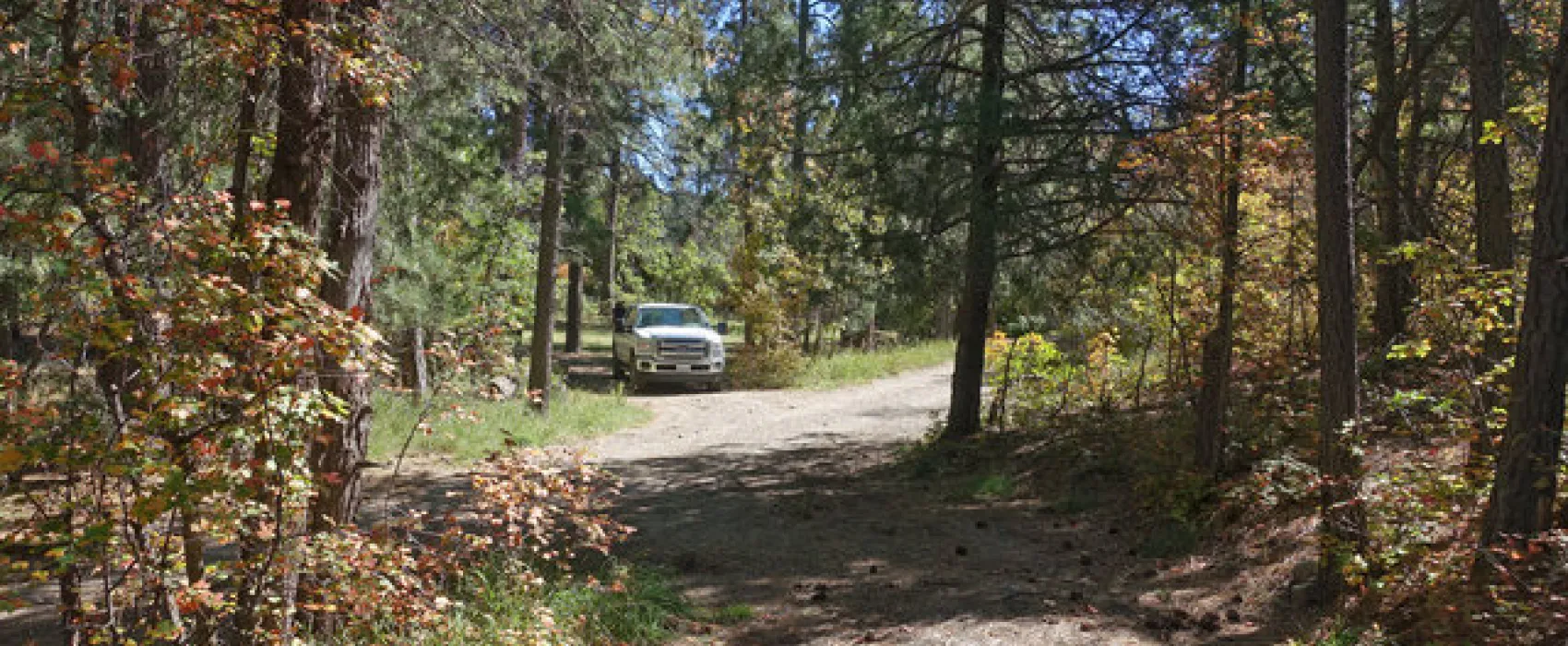 Bosque Campground