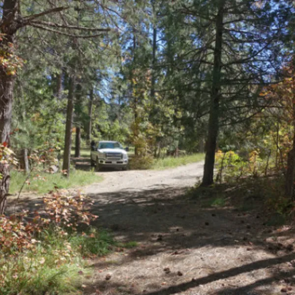 bosque-campground-estancia-gumgy