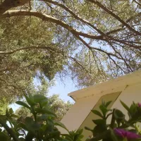 argostoli-beach-argostoli-kbflj