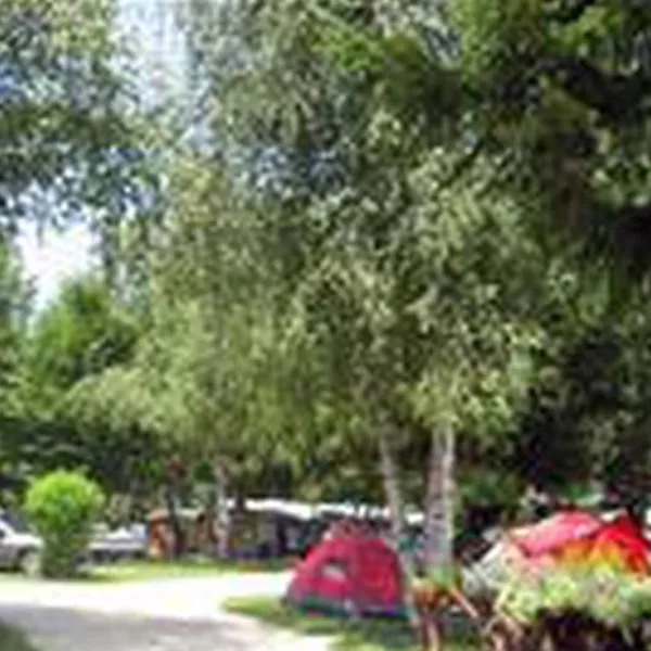 camping-les-cyclamens-le-chatelard-aedrl