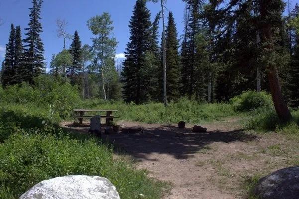 dry-lake-campground-steamboat-springs-tdspu