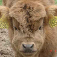 cemping-ekolandia-orneta-uob6b