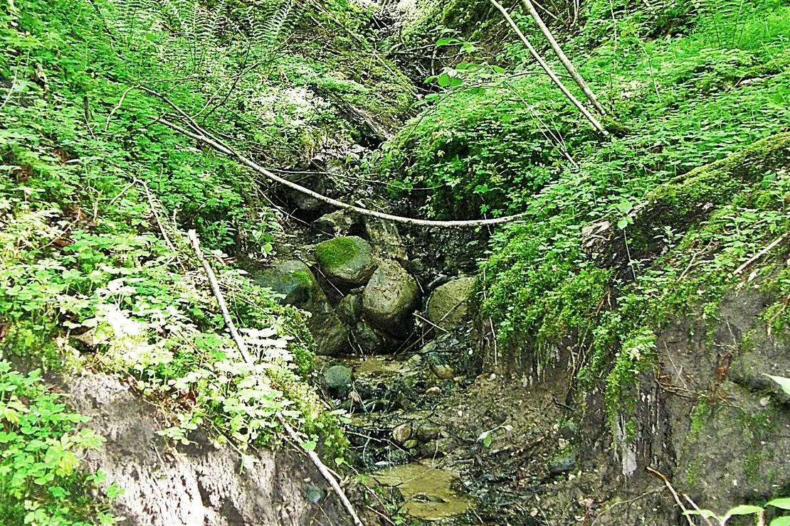 kempings-zviguli-gauja-7s8v5