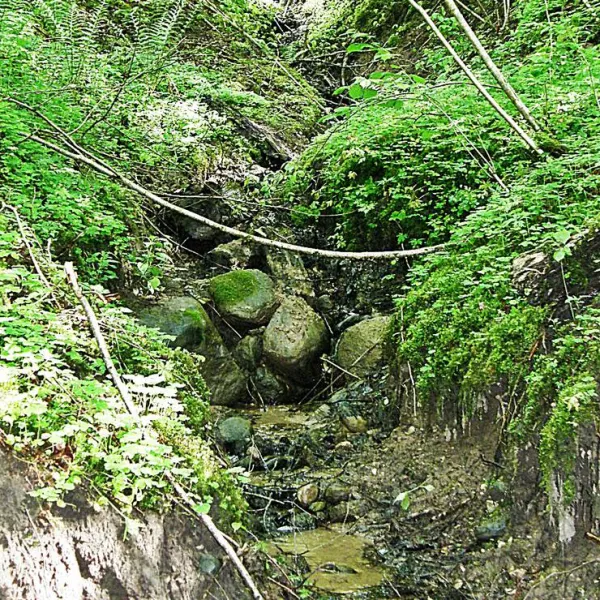 kempings-zviguli-gauja-7s8v5