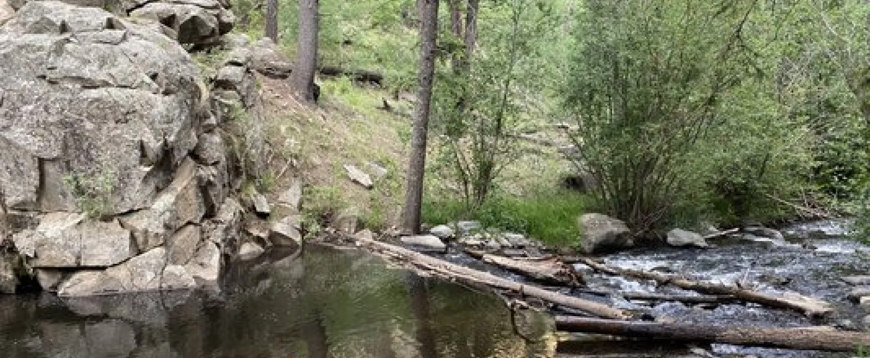 Cow Creek Dispersed Camping Area