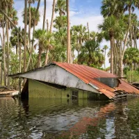 Chassahowitzka River Campground