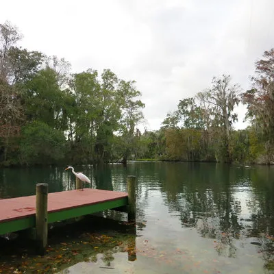 chassahowitzka-river-campground-homosassa-htgic