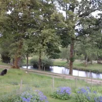 malsbogard-ambjornarp-bheio