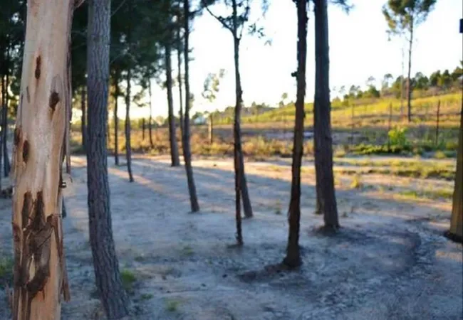 otium-oasis-glamping-tesselaarsdal-cape-overberg-1dsjs