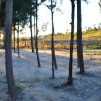 otium-oasis-glamping-tesselaarsdal-cape-overberg-1dsjs