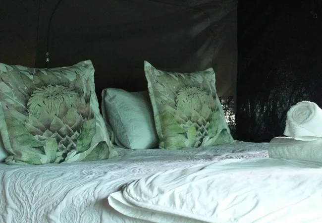 otium-oasis-glamping-tesselaarsdal-cape-overberg-34zow