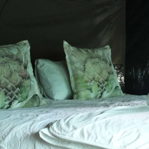 otium-oasis-glamping-tesselaarsdal-cape-overberg-34zow