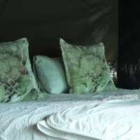 otium-oasis-glamping-tesselaarsdal-cape-overberg-34zow