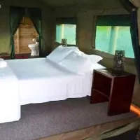 otium-oasis-glamping-tesselaarsdal-cape-overberg-dozan
