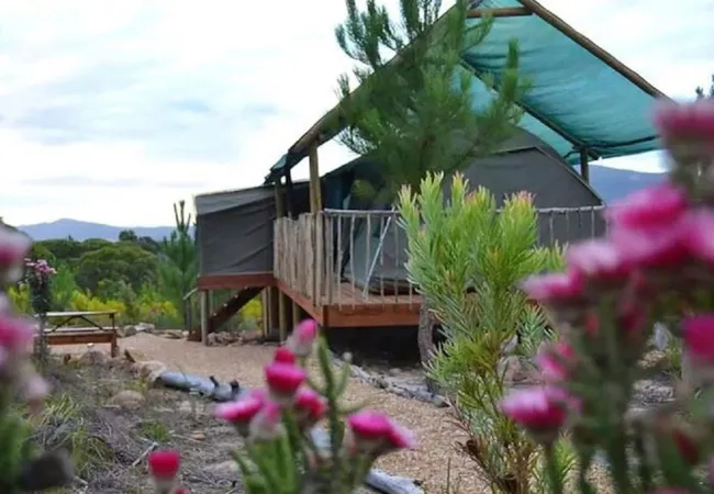 otium-oasis-glamping-tesselaarsdal-cape-overberg-gygfg