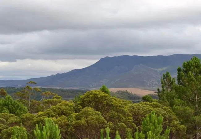 otium-oasis-glamping-tesselaarsdal-cape-overberg-nosnl