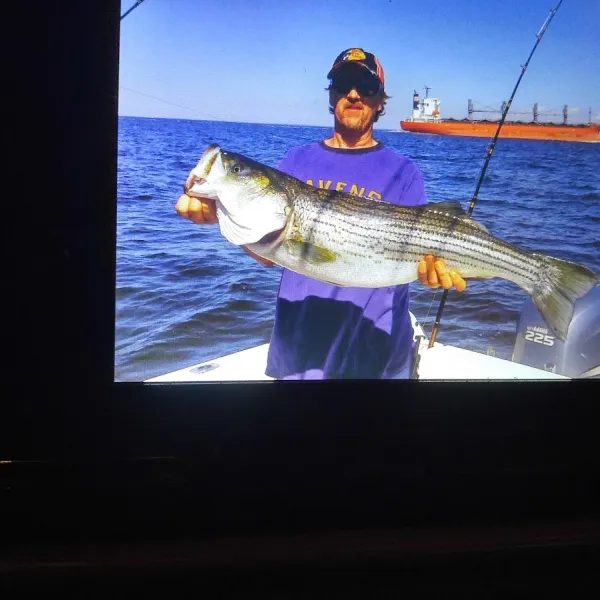 gamlers-boat-yard-campground-airville-jepjm