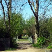 hofstede-molenzicht-vrouwenpolder-9dgav