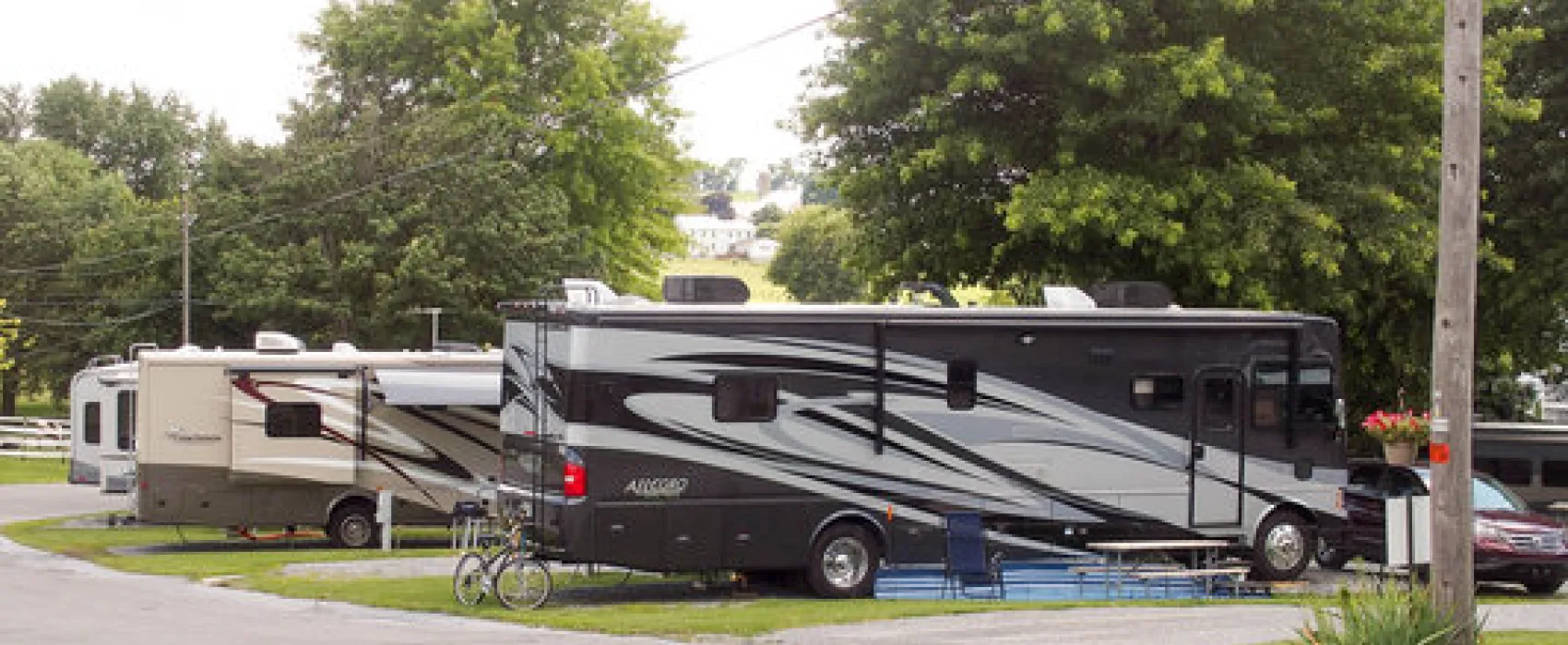 Beacon Hill Camping