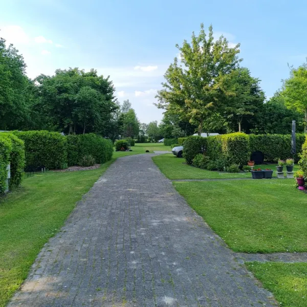 minicamping-schapendal-zandhuizen-al6bx