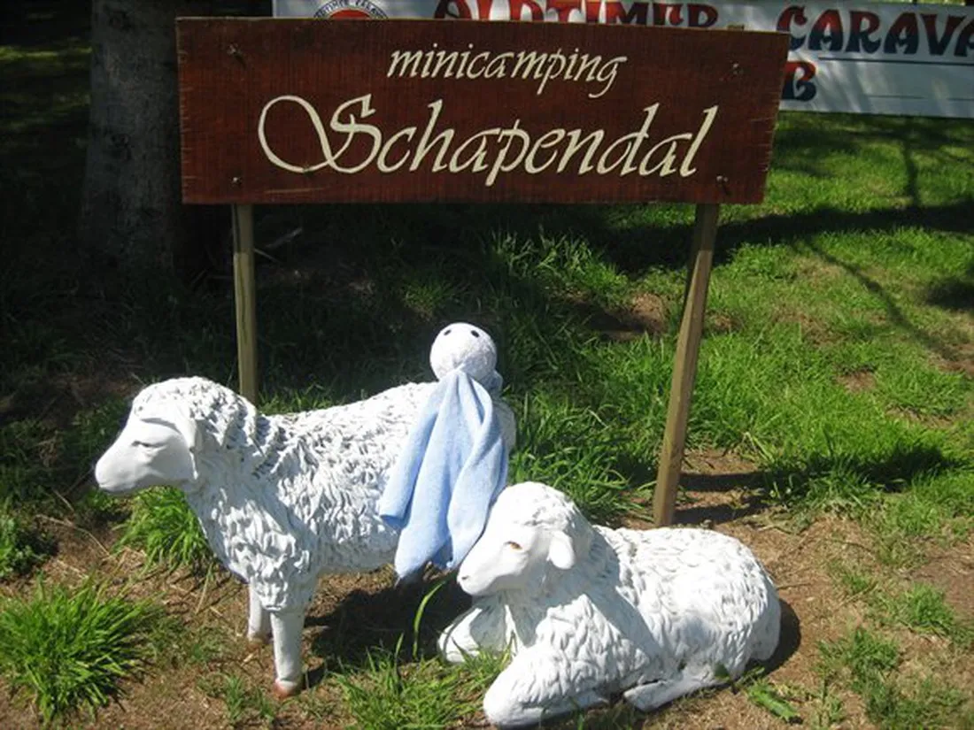 minicamping-schapendal-zandhuizen-ynalq