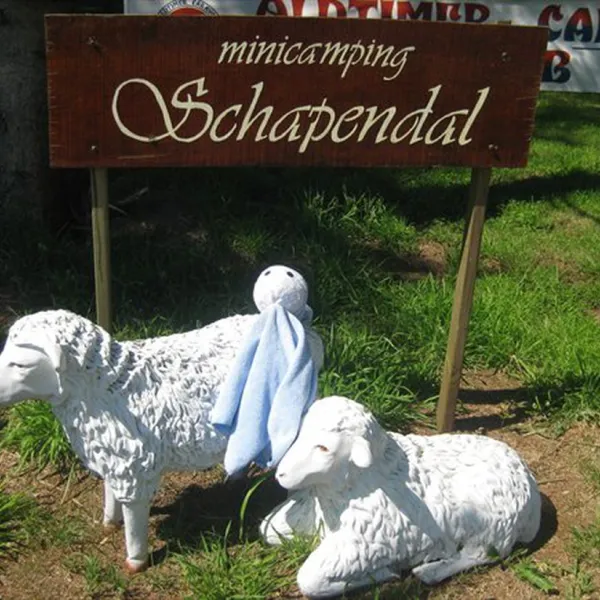 minicamping-schapendal-zandhuizen-ynalq