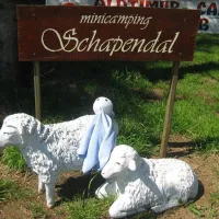 minicamping-schapendal-zandhuizen-ynalq