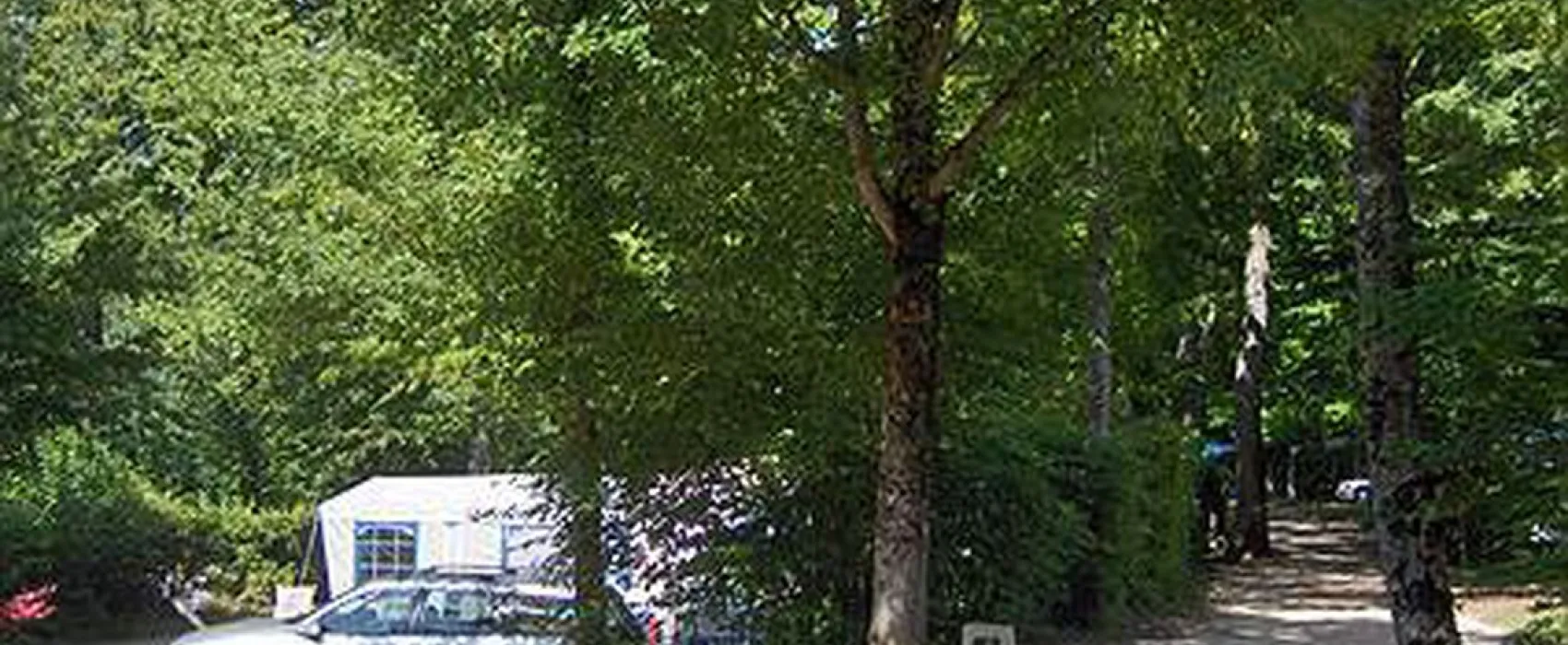 La Foret