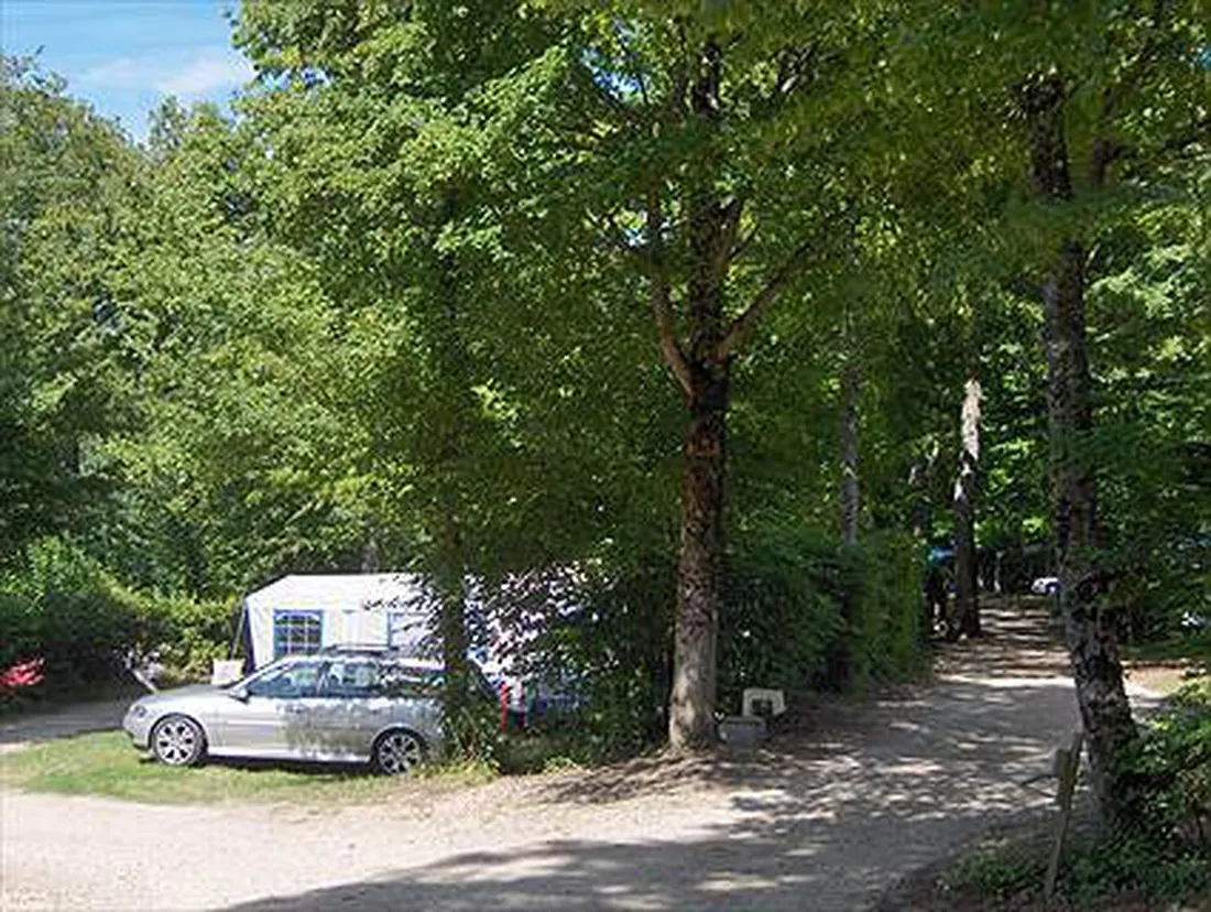 la-foret-arrigny-marne-2zcss