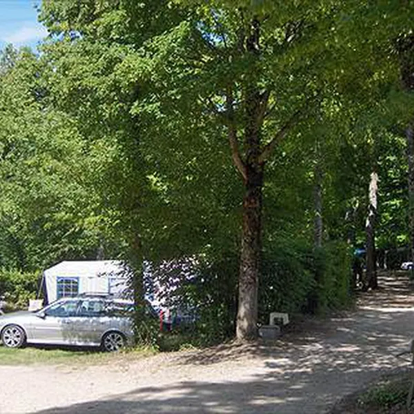 La Foret