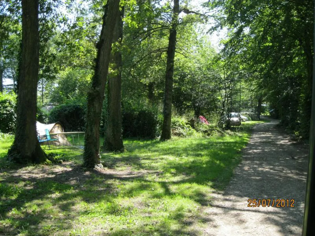 la-foret-arrigny-marne-6hoy6