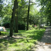 la-foret-arrigny-marne-6hoy6