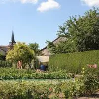la-foret-arrigny-marne-6hvdo