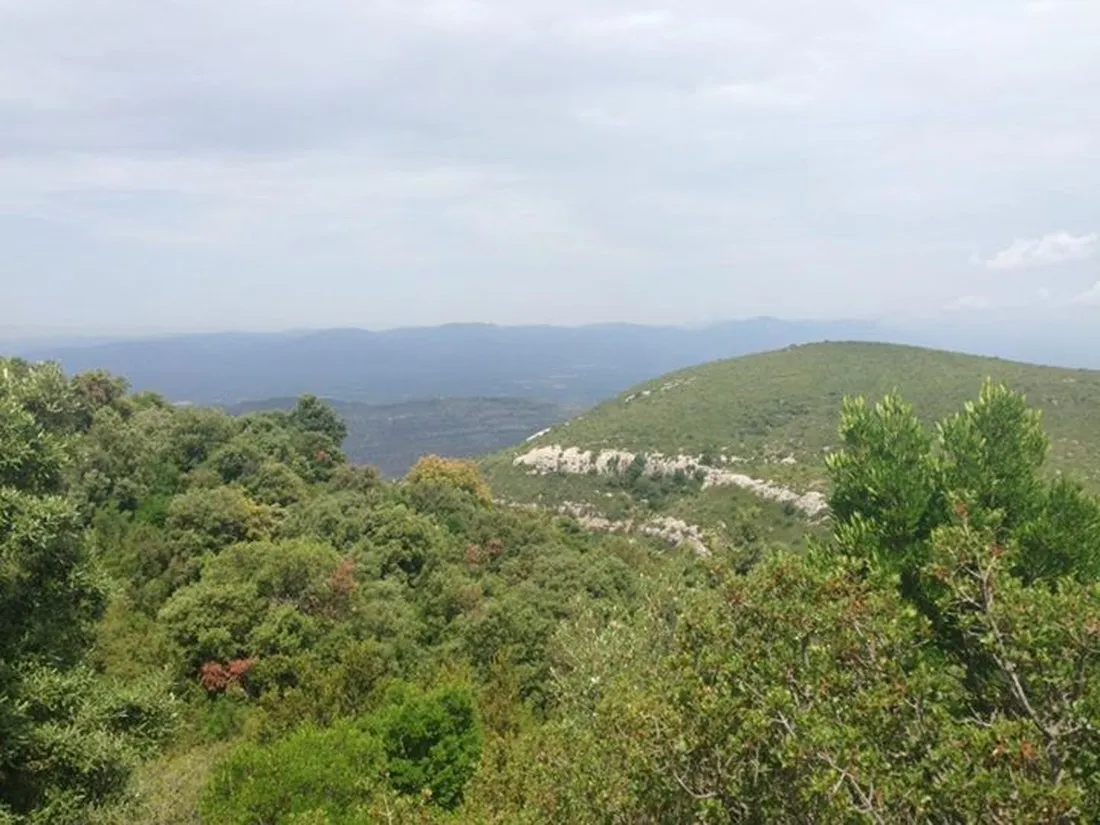 cases-dalcanar-alcanar-ztiom