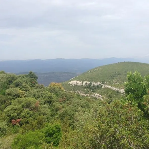 cases-dalcanar-alcanar-ztiom