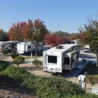 wine-country-rv-resort-paso-robles-azkpi