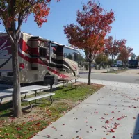 wine-country-rv-resort-paso-robles-zhl09