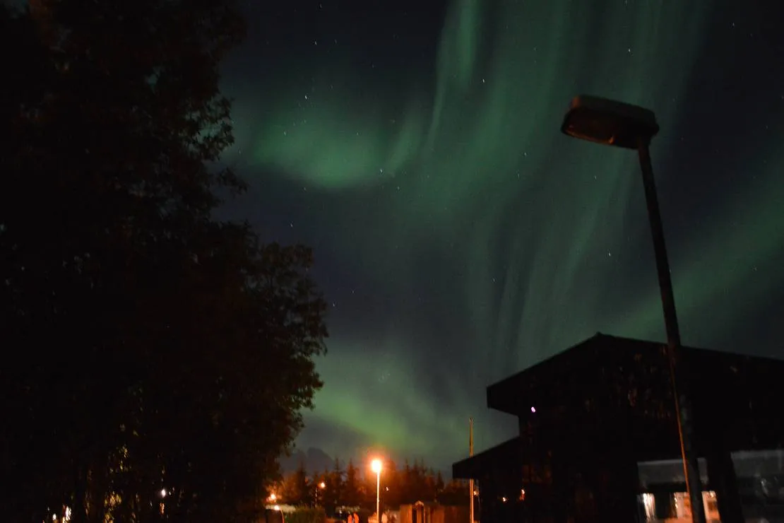 gesthus-selfossi-selfoss-pxgvq