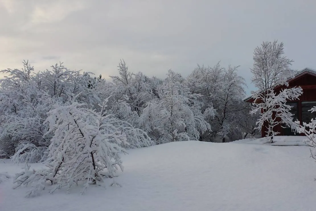 gesthus-selfossi-selfoss-w9kaj