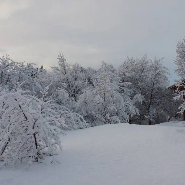 gesthus-selfossi-selfoss-w9kaj