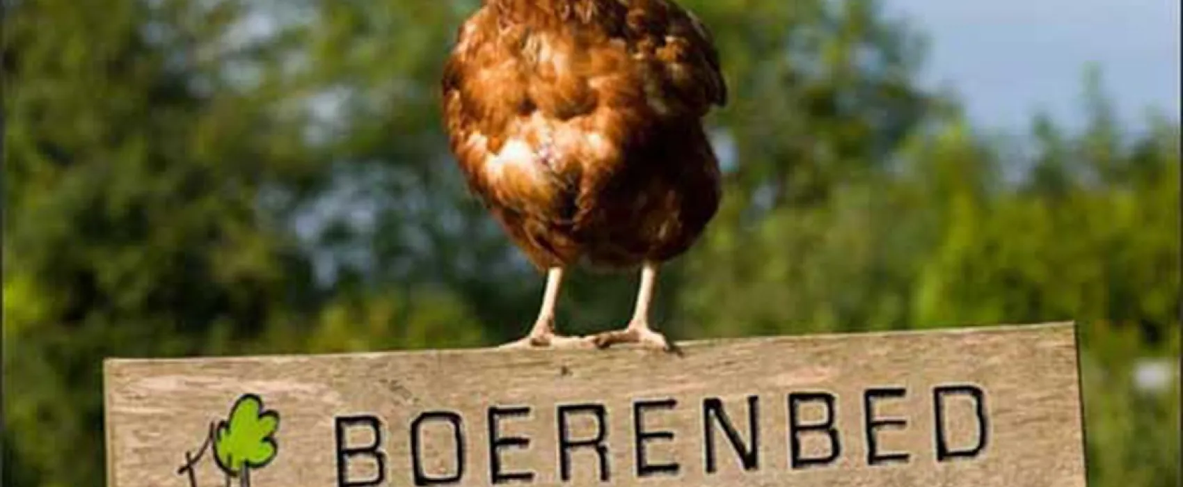 Hoeve Meskenwier