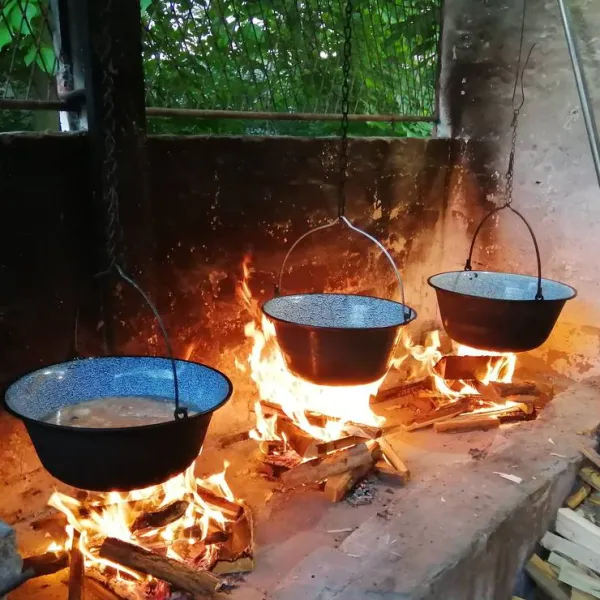 kamp-bezdan-bezdan-72don