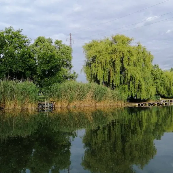 kamp-bezdan-bezdan-9wnjv