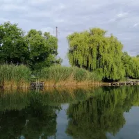 kamp-bezdan-bezdan-9wnjv