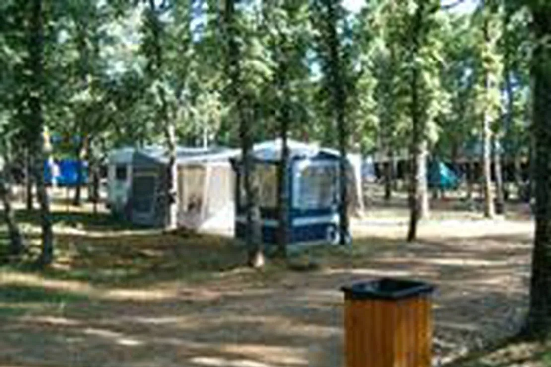 camping-las-cavenes-el-cabaco-ajsec