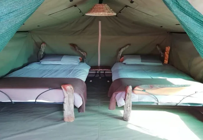 coombs-view-tented-camp-grahamstown-frontier-country-5gdh5