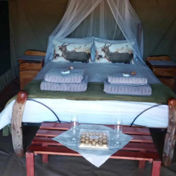 coombs-view-tented-camp-grahamstown-frontier-country-ezybv